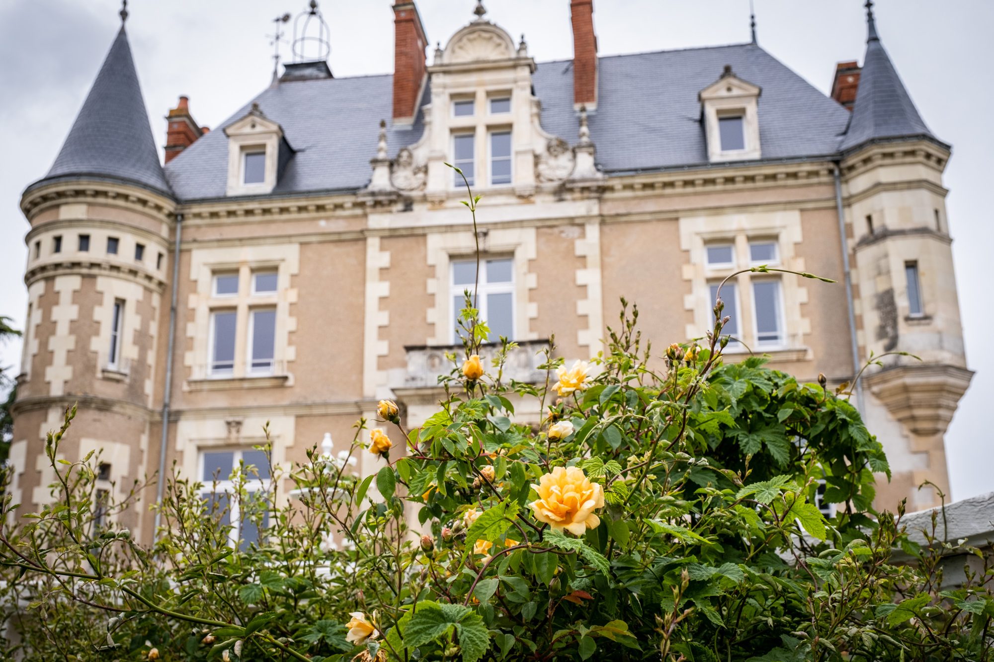 Façade du Château Beausoleil et ses rosiers en fleurs